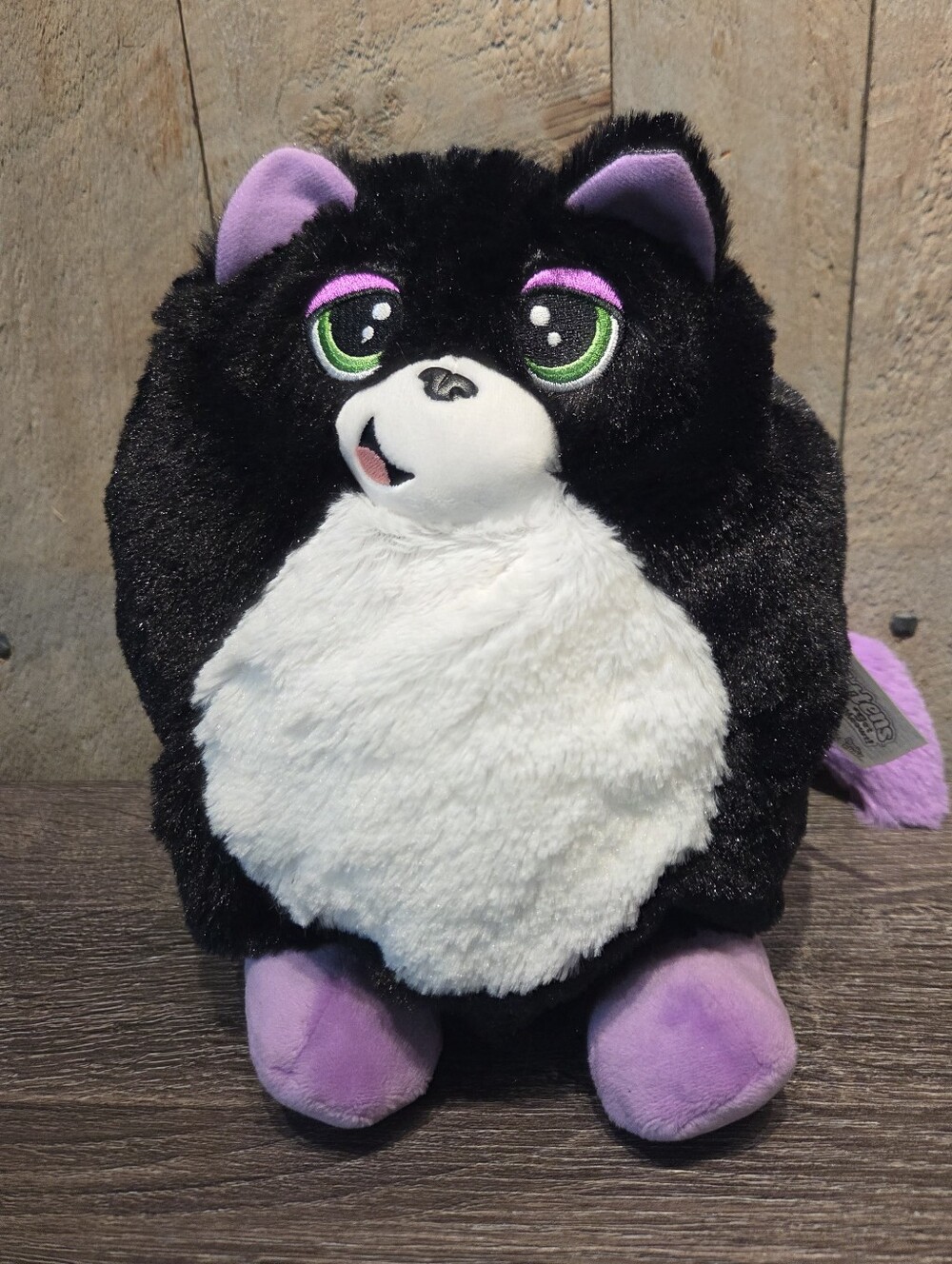 Misfitten Get Meowt Kitten Cat